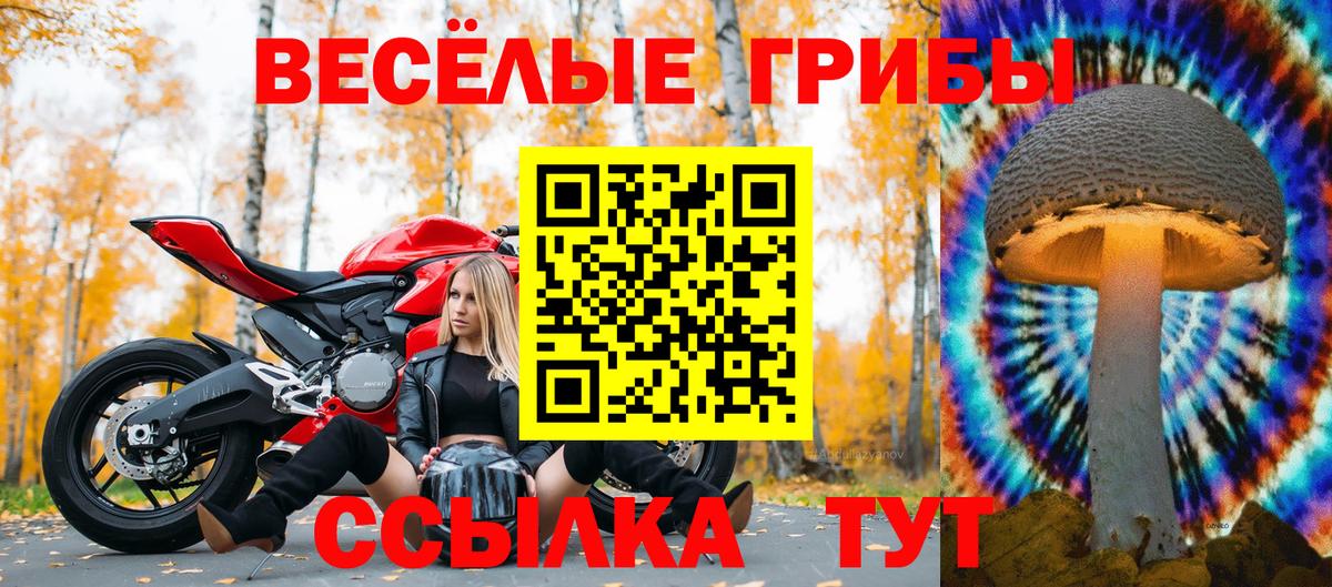Абинск  Псилоцибиновые грибы Cubensis  Вход с VPN 