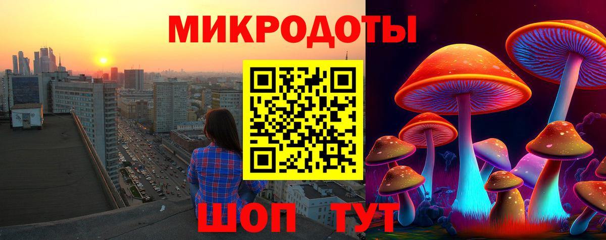 Псилоцибиновые грибы GOLDEN TEACHER Абинск